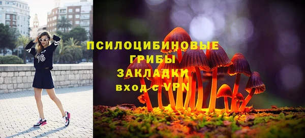 ALPHA-PVP Алексин