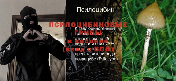 MESCALINE Алзамай
