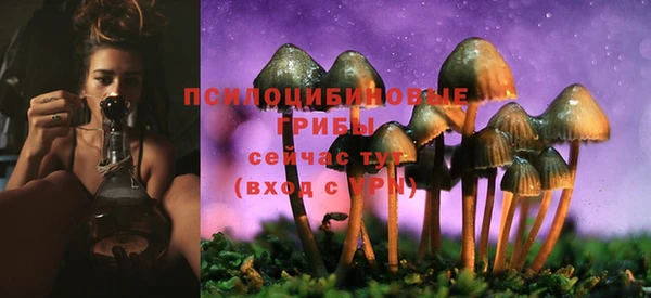MESCALINE Алзамай