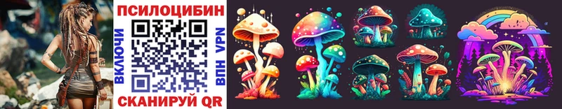 где найти Армянск Псилоцибиновые грибы MAGIC MUSHROOMS